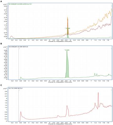 Characterization, antibacterial, antioxidant, antidiabetic, and anti-inflammatory activities of green synthesized silver nanoparticles using Phragmanthera austroarabica A. G. Mill and J. A. Nyberg extract